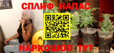кокс Моздок