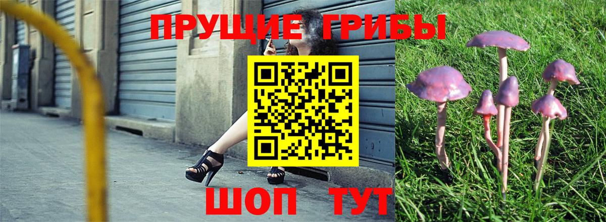 Галлюциногенные грибы ЛСД  Вход с VPN  Алейск 