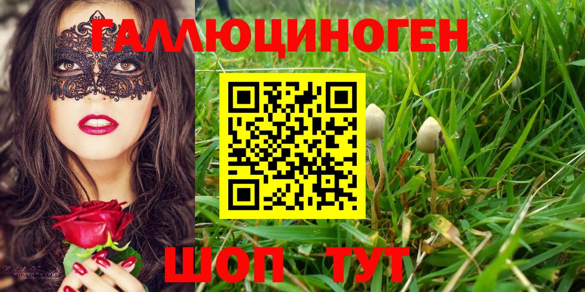 Галлюциногенные грибы прущие грибы Алейск